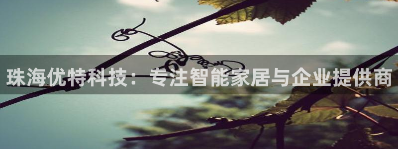 金年会体育app下载官网安卓手机