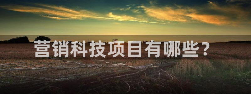 金年会官方下载app