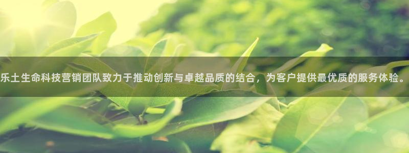 金年会app官网