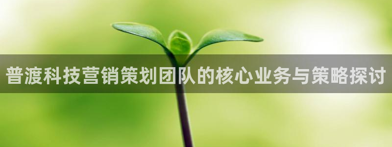 金年会是正规平台吗