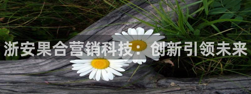 金年会官方网站入口登录网址是多少