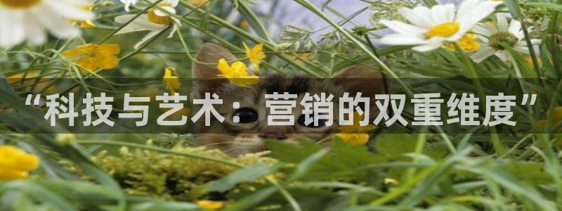 金年会平台官网