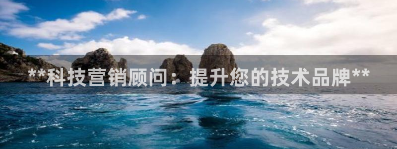 金年会体育app官网入口