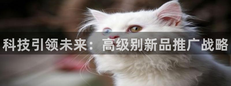 金年会赌博案
