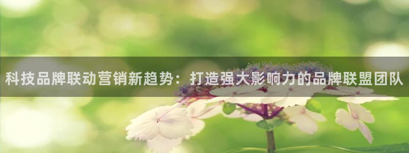 金年会pg电子官网首页