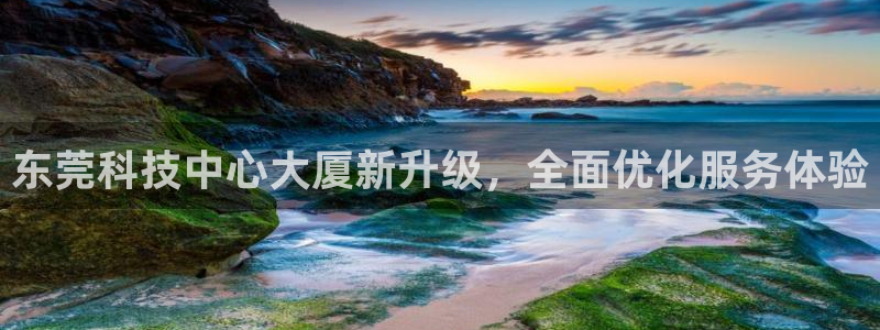 金年会体育app官网下载
