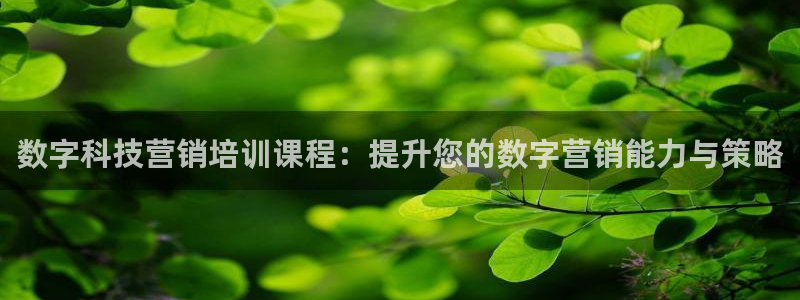 金年会APP官网下载