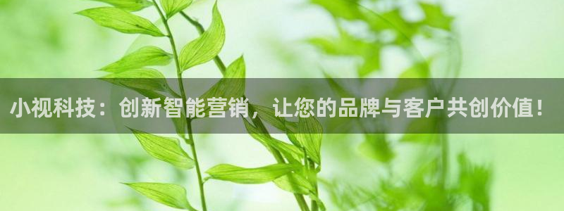 金年会官方入口首页网站