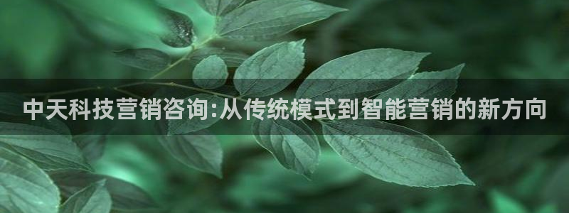 金年会在线入口2023