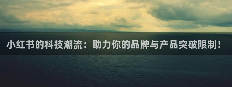 金年会体育一直输