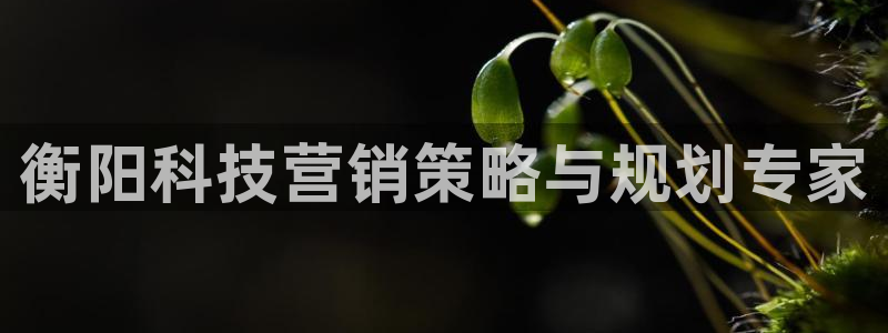 金年会官方在线入口网址查询