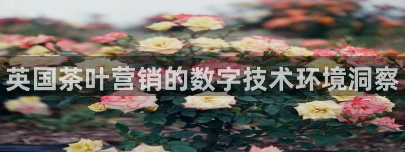 金年会体育app最新官网下载安装