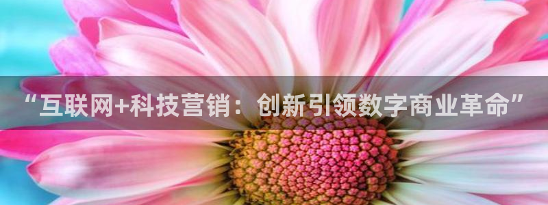 金年会体育app最新官网下载安装