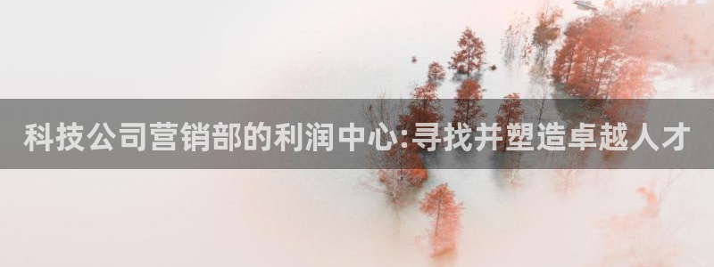 金年会体育app属于正规平台吗