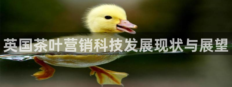 金年会官方体育频道直播