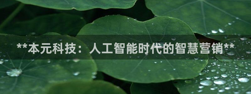金年会体育APP官方网站