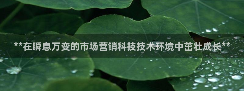 金年会