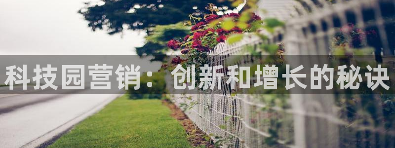 金年会金字招牌信誉至上是黑平台吗