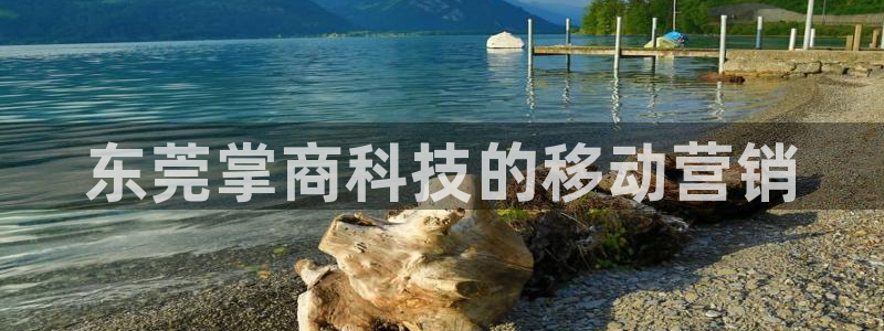 金年会体育全站