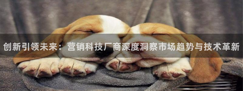 金年会信誉至上金字招牌