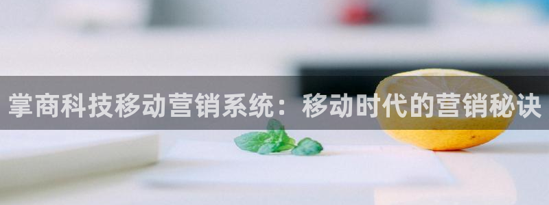 金年会手机网页版