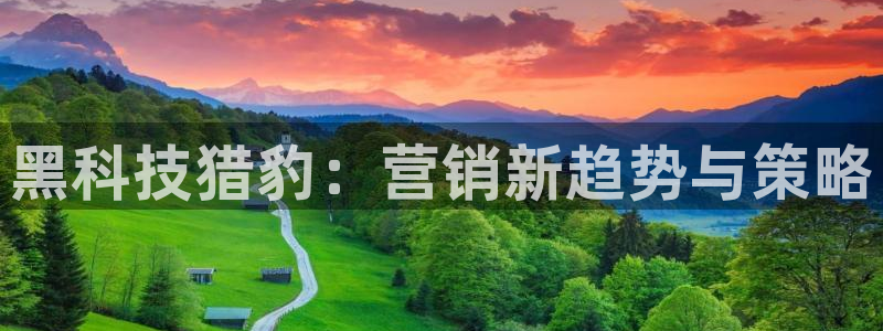金年会下载