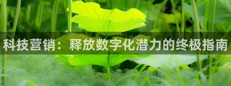 金年会手机版下载