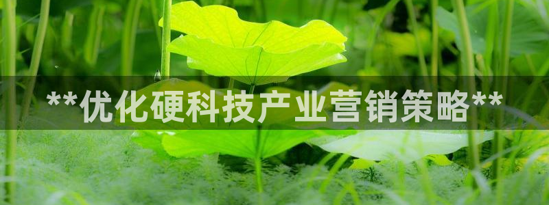 金年会pg电子官网