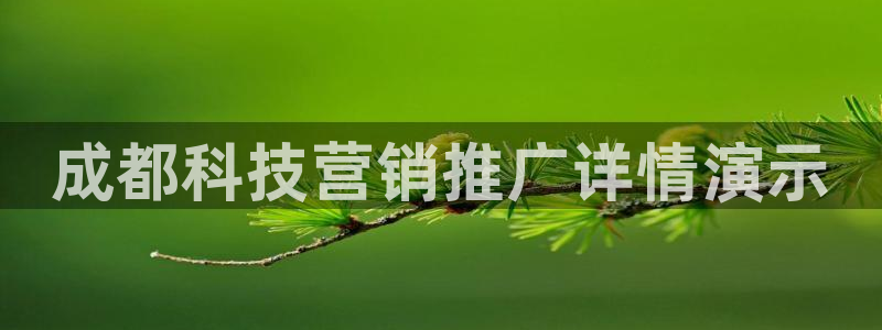金年会体育app属于正规平台吗