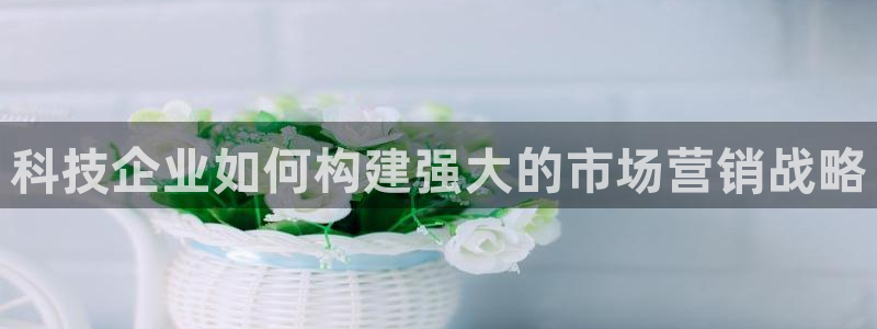 金年会体育买球app下载官网