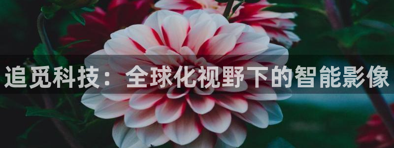 金年会入口