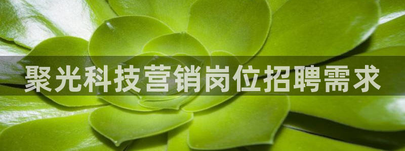金年会官方入口网站