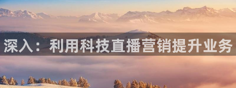 金年会VIP