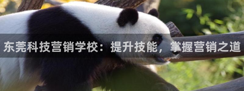 金年会网址有吗