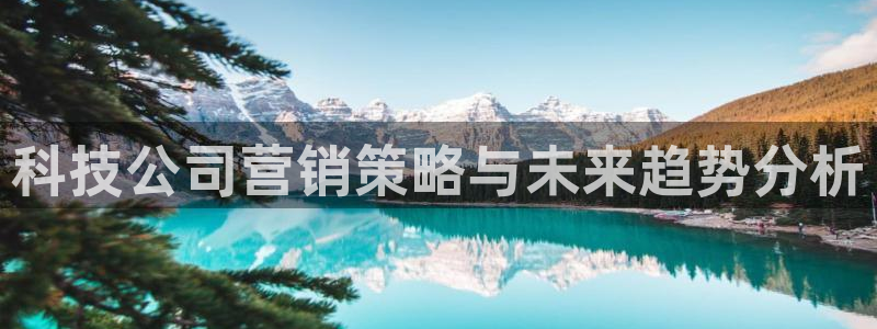 金年会电子官网下载