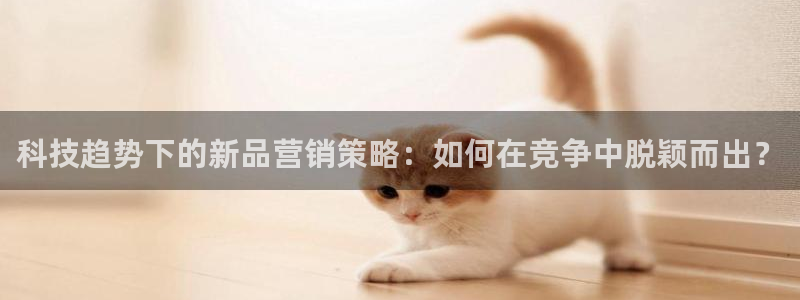 金年会app官方网站