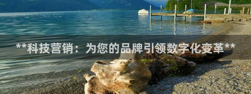 金年会官方体育登陆入口