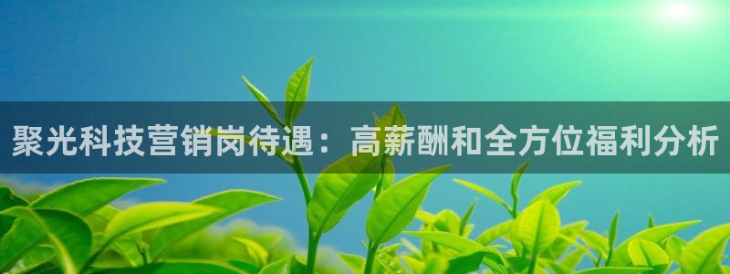 金年会手机版·(中国)官方网站-app下载