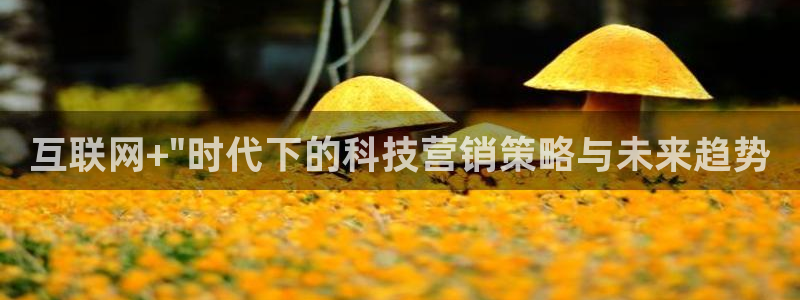 金年会体育app最新官网下载安卓