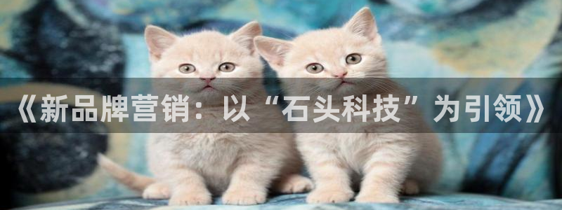 金年会体育官网