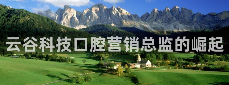 金年会体育手机app下载官网最新版
