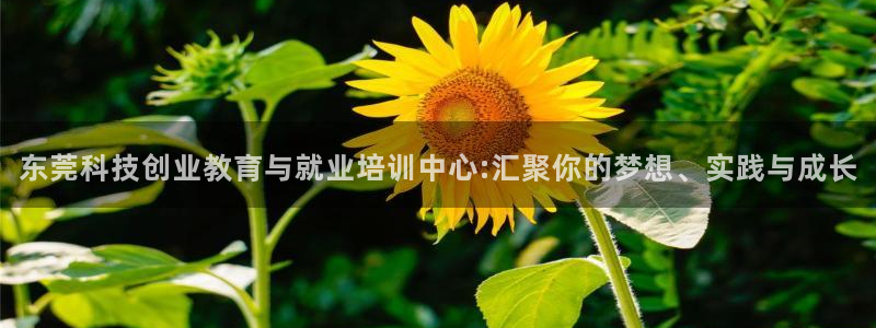 金年会下载哪个买球赛
