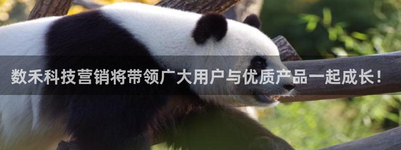 金年会信誉至上