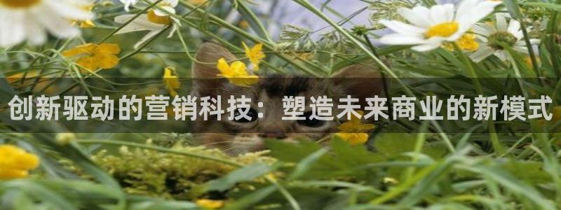 金年会平台是黑网