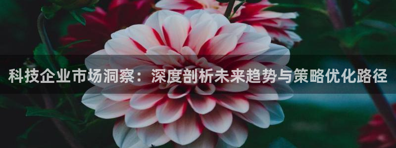 金年会网站提现一直显示审核当中怎么办