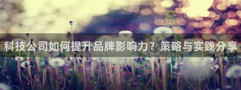 金年会体育平台官网下载app