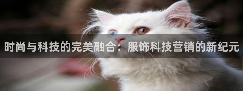金年会官方下载
