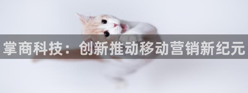 金年会体育好不好