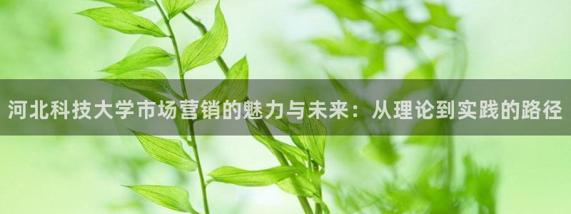 金年会体育app官网入口下载