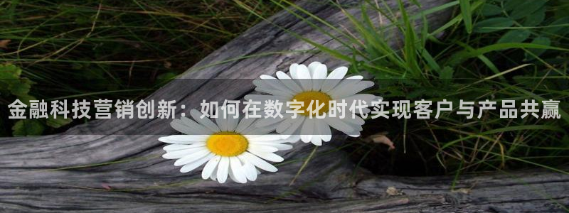 金年会官方平台官网